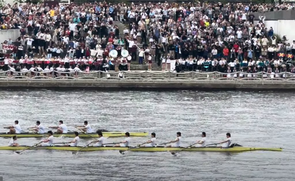 🏖️ 혼조 마리나 해수욕장 (혼조 마리나 카이스이요쿠조) 이미지 7